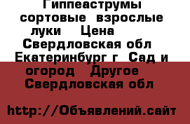 Гиппеаструмы сортовые, взрослые луки. › Цена ­ 650 - Свердловская обл., Екатеринбург г. Сад и огород » Другое   . Свердловская обл.